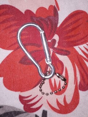 Carabiner Charm Accessory